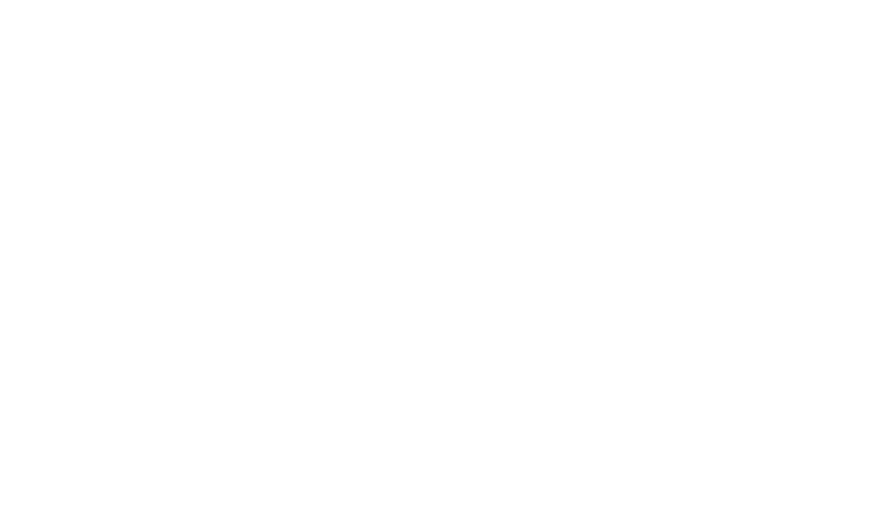 Bird Dog Logo